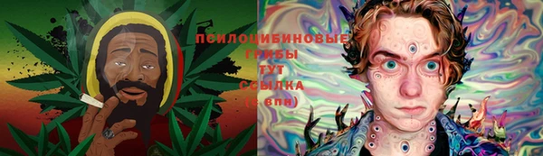 гашик Бугульма