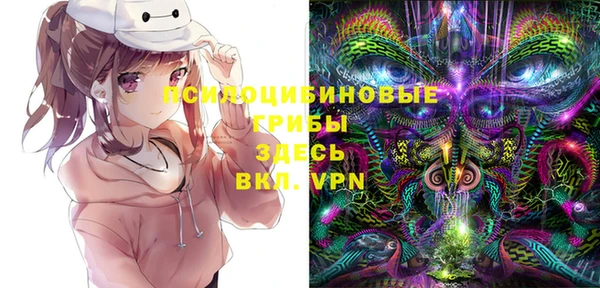 метадон Богородск
