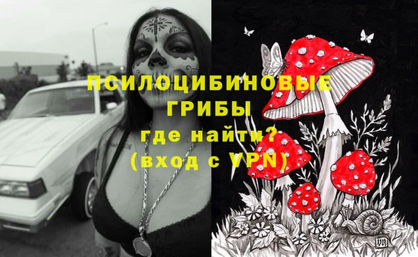 метадон Богородск