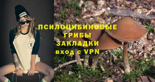 винт Белокуриха